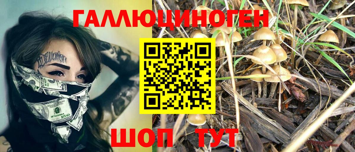 Псилоцибиновые грибы Magic Shrooms Энгельс