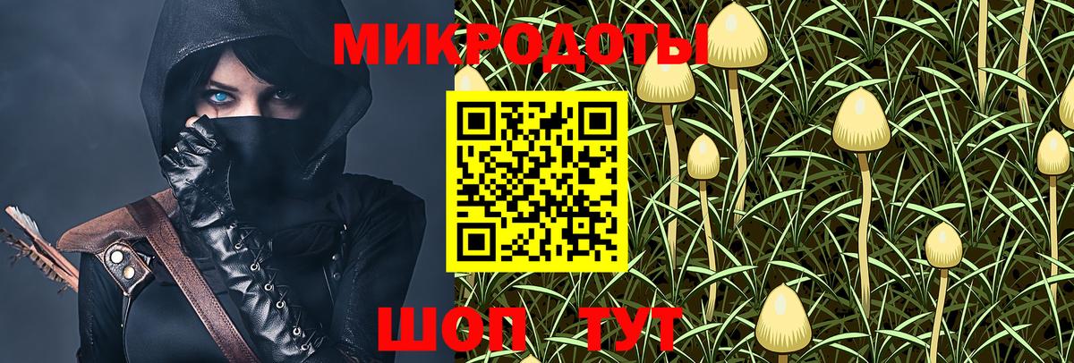 Энгельс  Галлюциногенные грибы мухоморы  Вход с VPN 